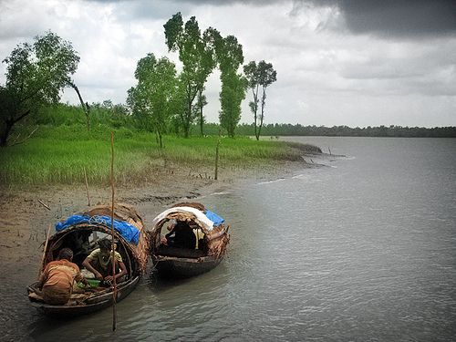10 Tips to visit Sundarbans.